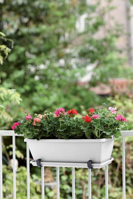 barcelona balkonbak schotel 70cm wit